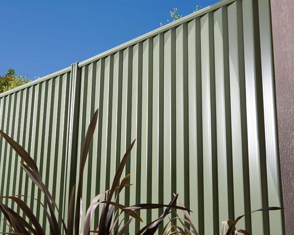Pale green fence showing popular COLORBOND® steel fence colours for backyard privacy