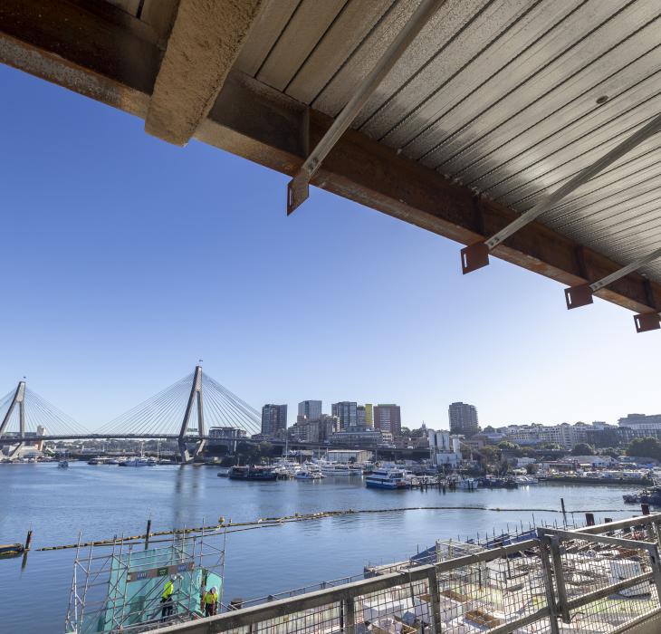 Fielders for Sydney Fish Market with RF55