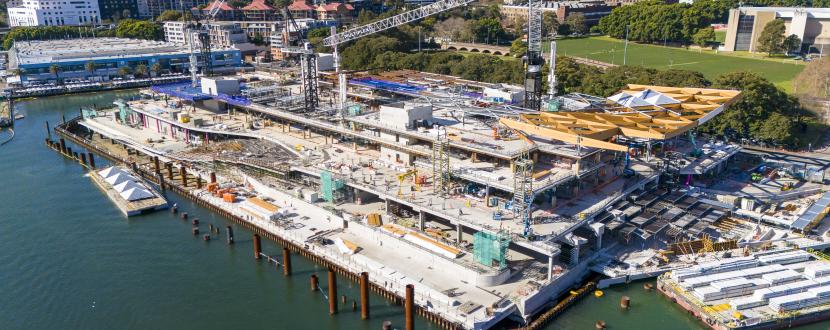 Fielders for Sydney Fish Market with RF55